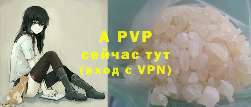 купить   Каргополь  Alfa_PVP СК 